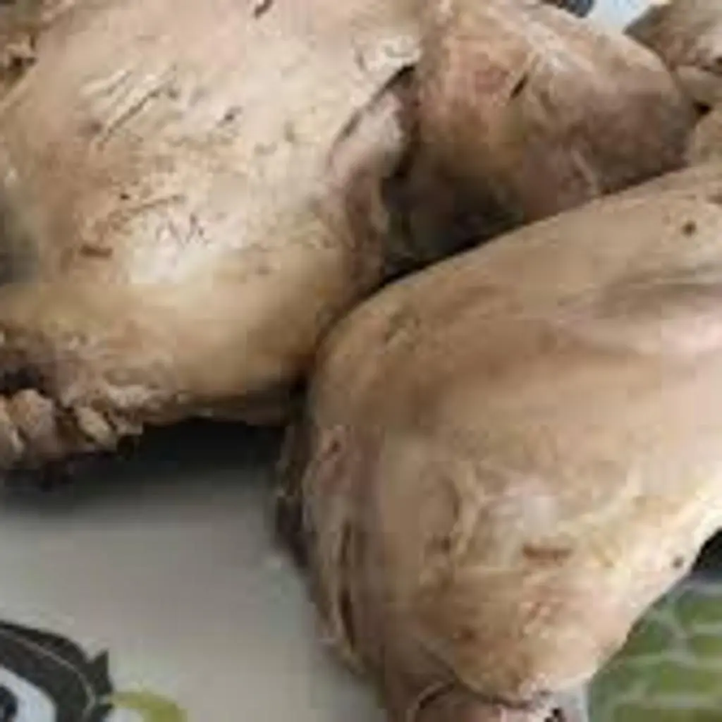 دجاج مسلوق